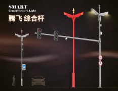 騰飛-共杆